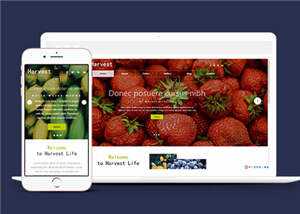 响应式果蔬大棚企业源码模板下载 - 项目资源网