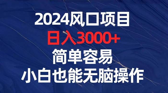 2024 风口项目，日入 3000+，简单容易，小白也能无脑操作 - 项目资源网